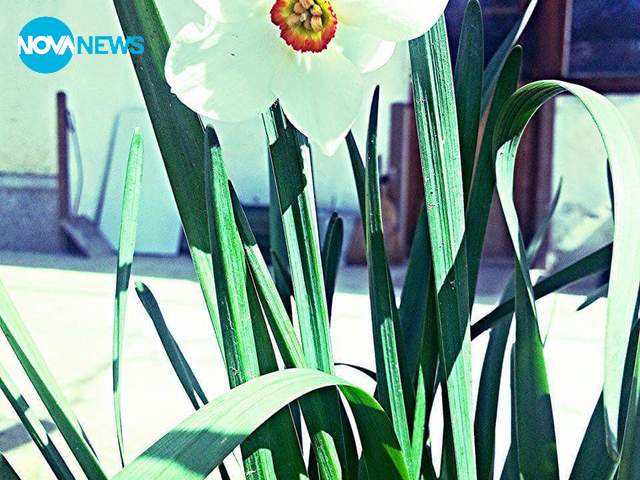 Пролетно настроение