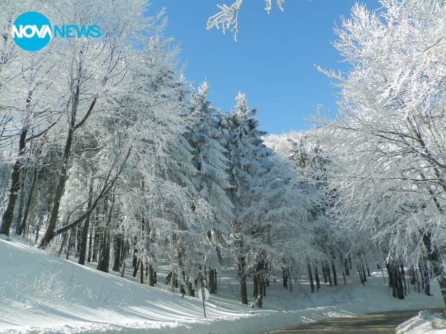 Красотата на зимата