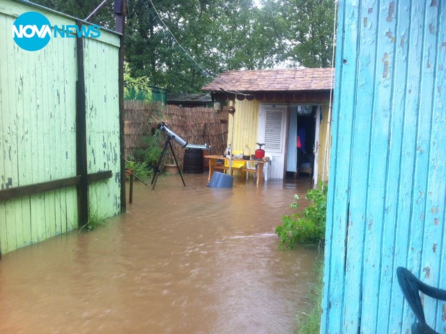 Смокиня под вода