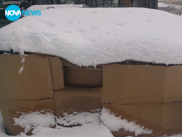 Жена живее в кашон