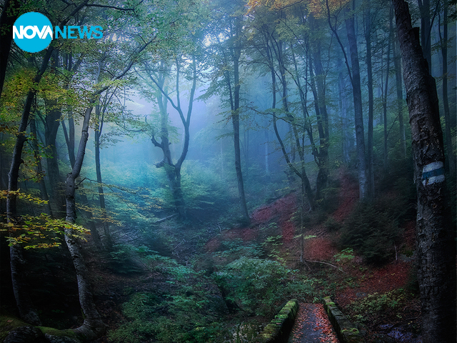 Резерват Стара река