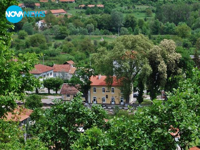 Китно селце