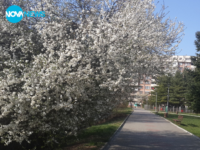 С Баба Марта и пролетта дойде във Велико Търново!
