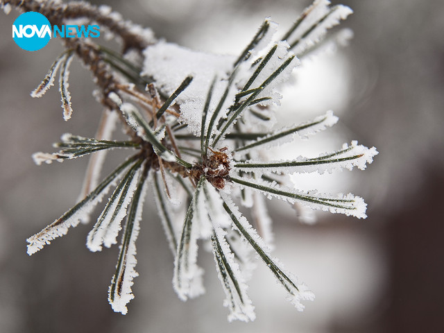 Снежни красоти-3