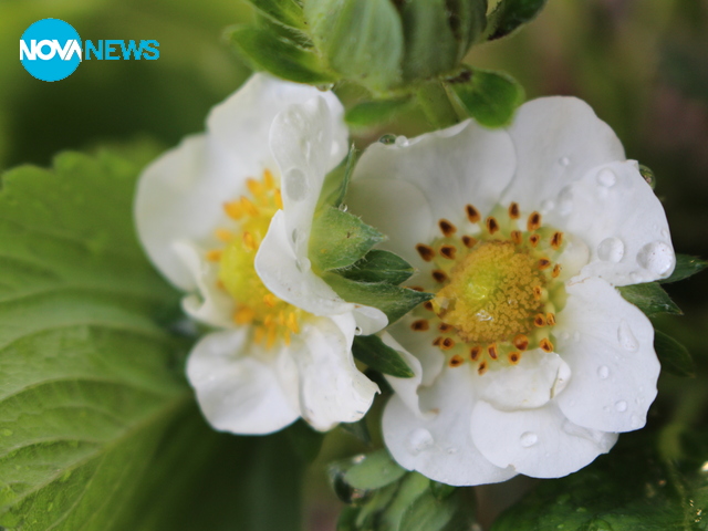Цветно настроение
