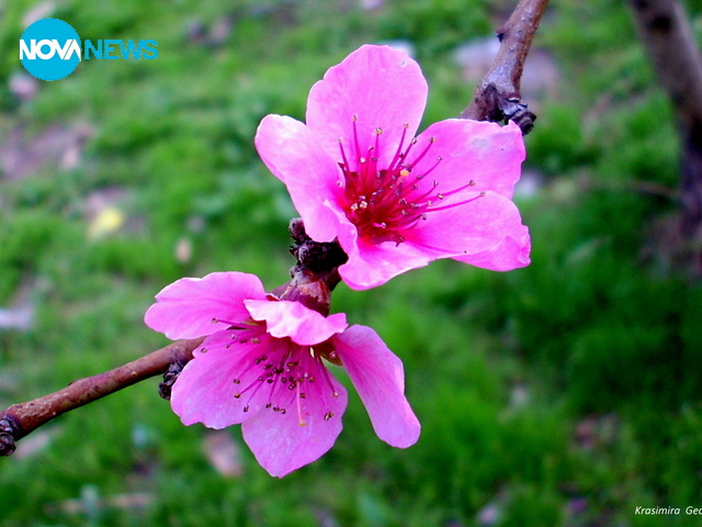 Пролетно настроение