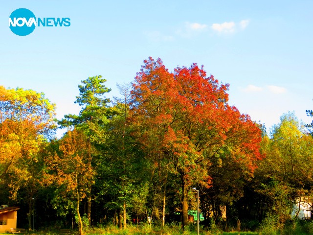 Топли есенни дни