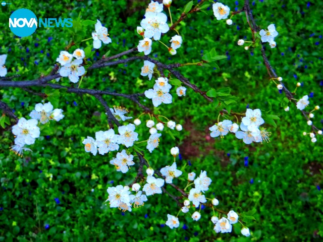 Довиждане, март!