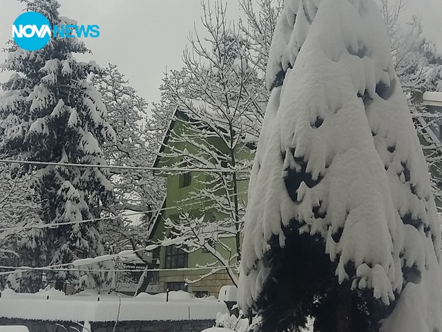 Снежен ад в Бояна