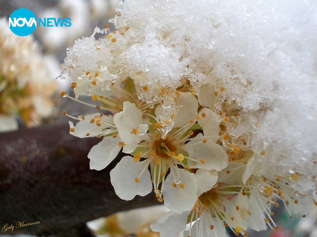 Капризите на времето