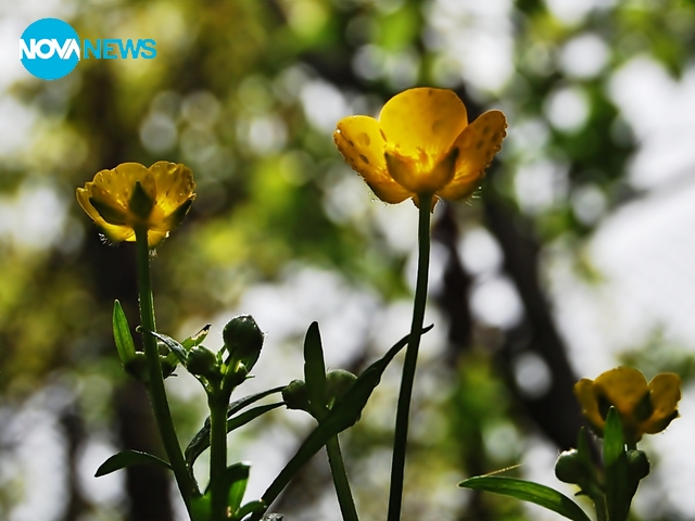 Прогноза за времето - 6