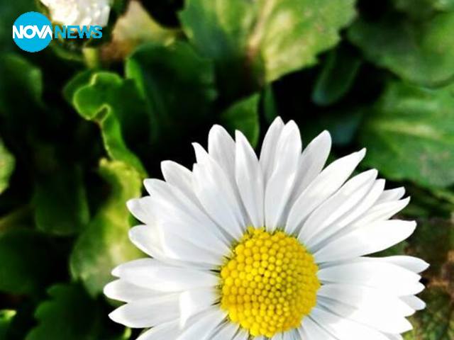 Слънчево утро