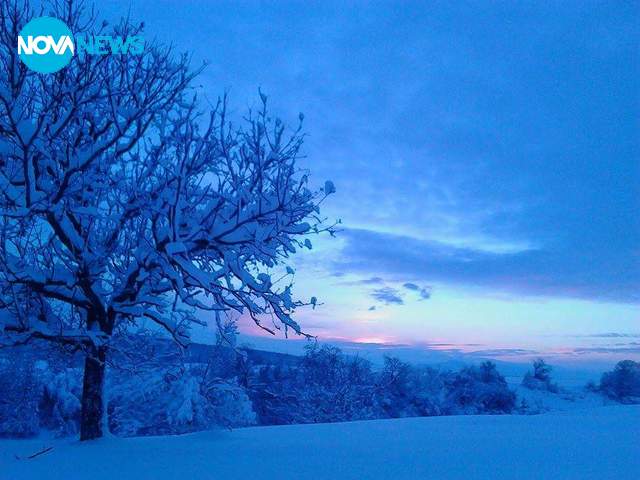 Зимна приказка