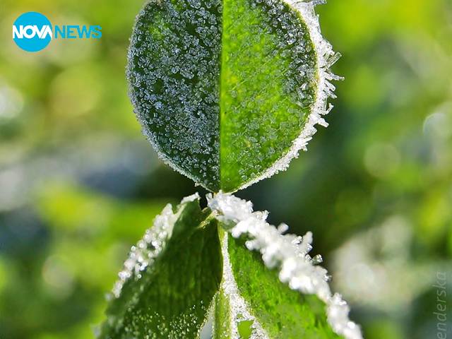 Прогноза за времето - 3