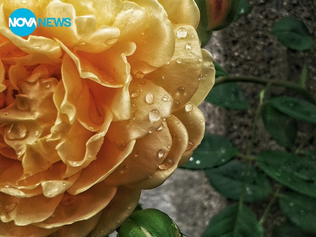 Красотата на природата