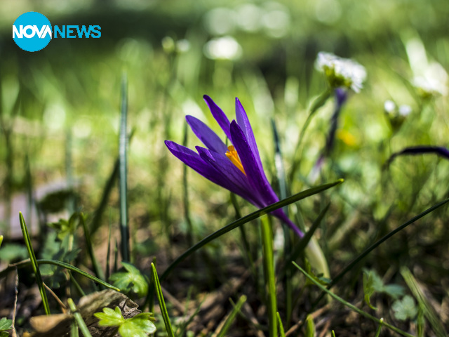 Пролетно от Юндола