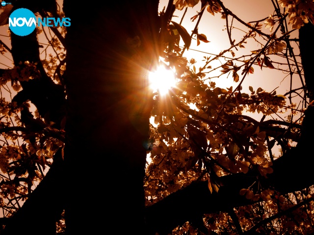 Цветен изгрев!