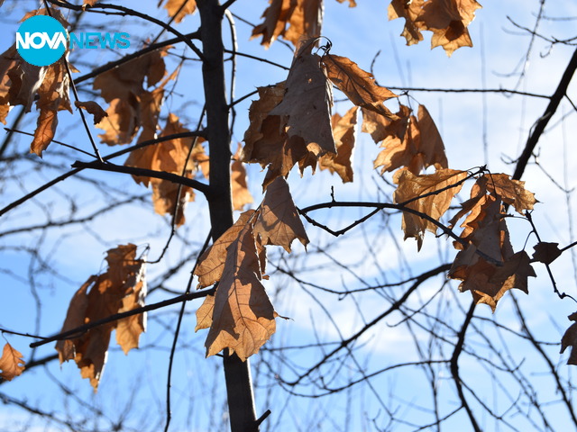 Закъснели есенни нюанси