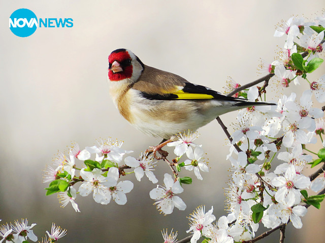 Здравей, пролет!