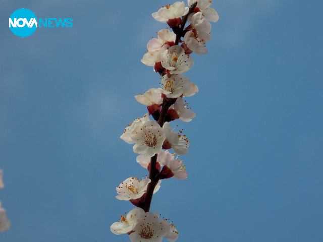 За прогнозата за времето