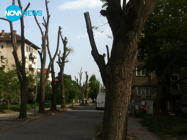 Сеч насред Пловдив