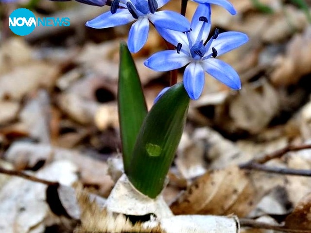 Прекрасни пролетни снимки за прогнозата за времето