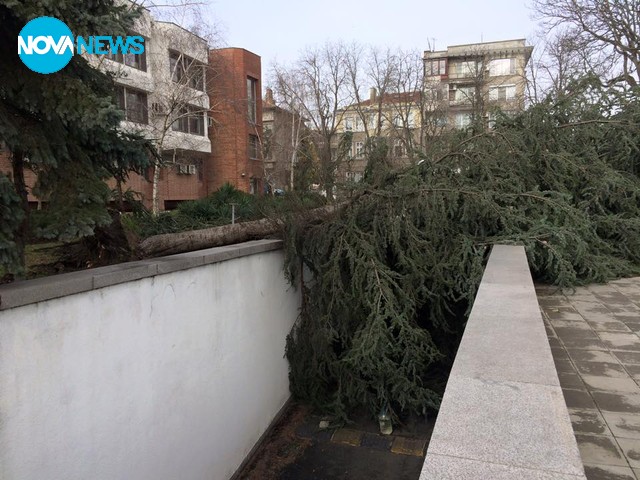 Бурните ветрове в Бургас