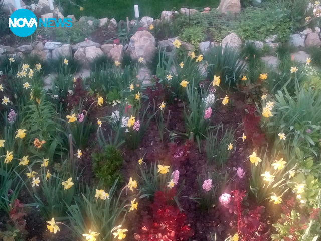 Образцова градина