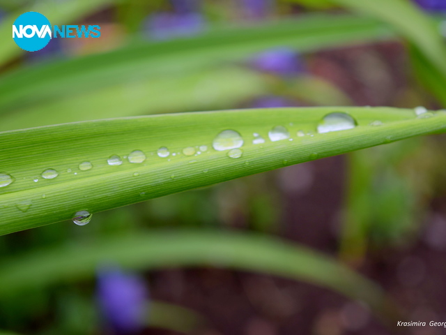 Сълзите на лошото време