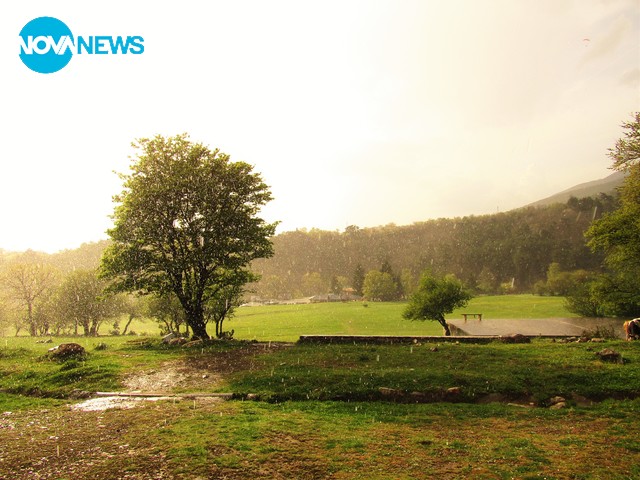 Дъждовно в Сопот