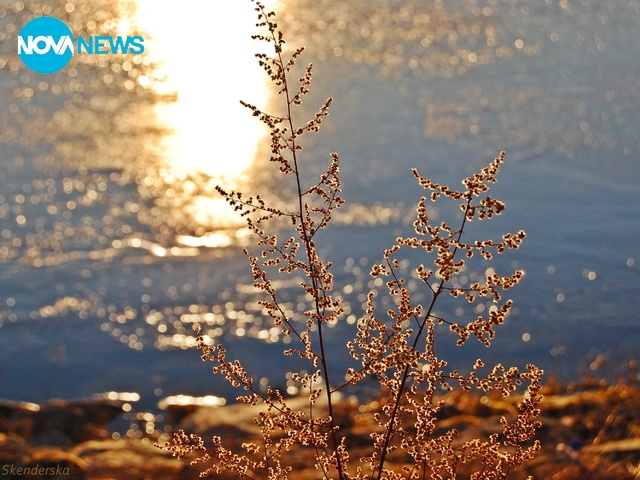 Залез на язовир "Дренов дол"