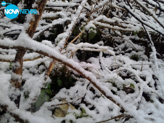 Сняг в Монтана