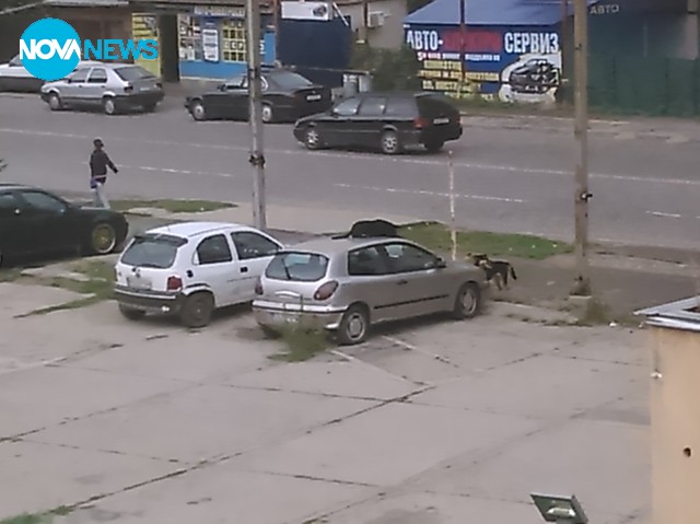 Безгрижна игра като при деца