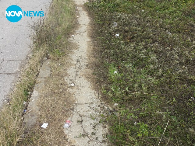 Окаяното състояние на един жилищен квартал в Плевен