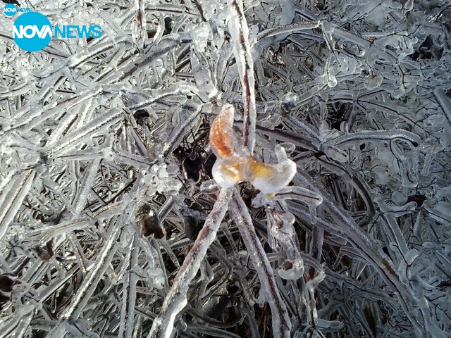 Като в приказка