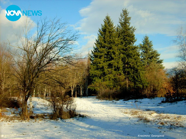 Слънчева зима