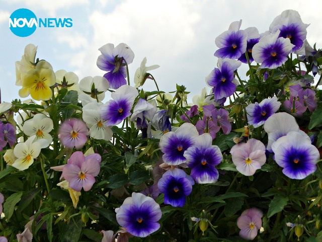 Снимки с много настроение