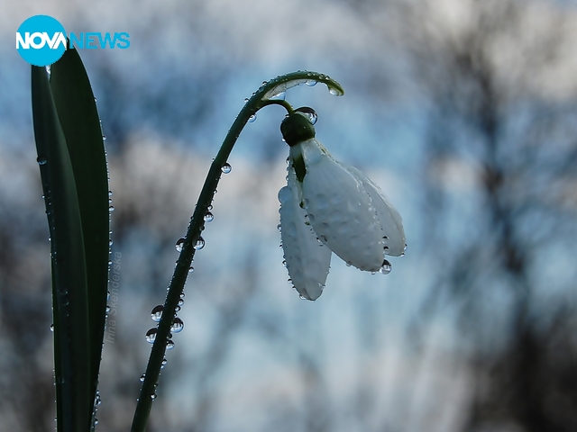 За прогнозата на времето