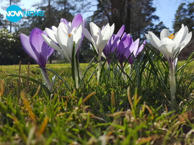 Пролетна снимка