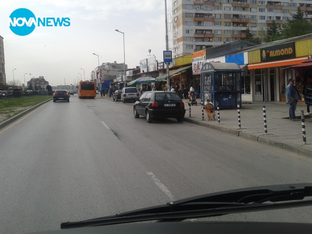 Така се спира на спирка!