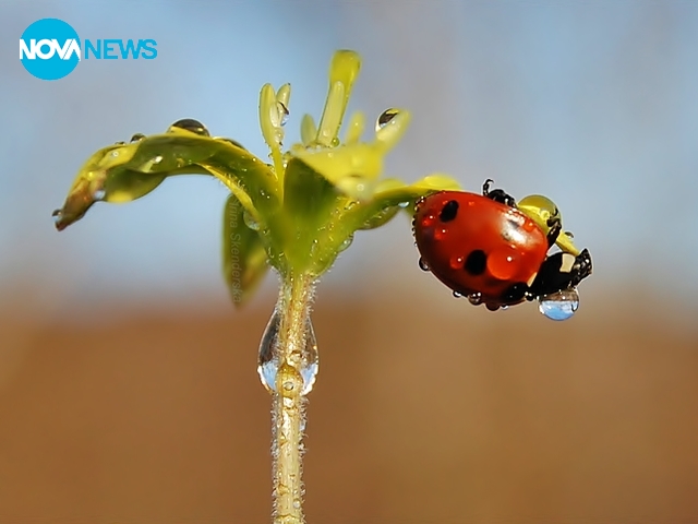 За прогнозата на времето