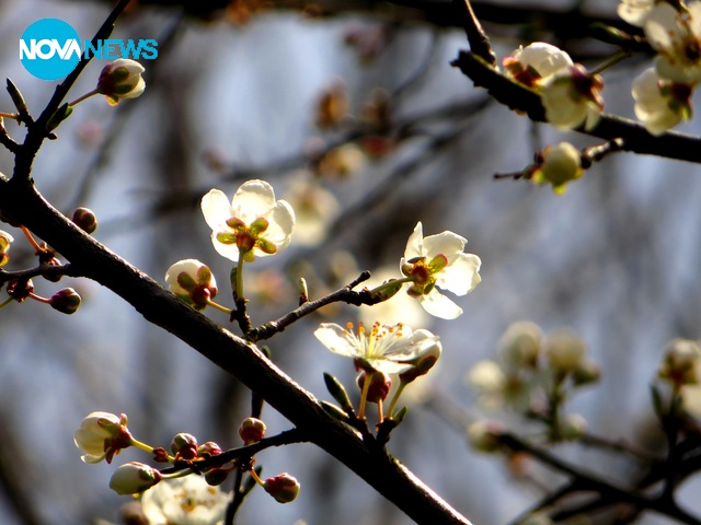 Пролетно настроение