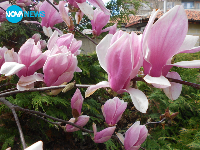 Усмихнат да е денят Ви!