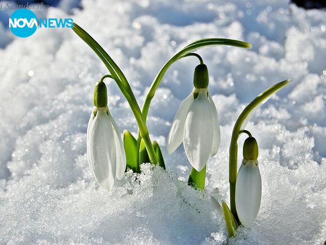 За прогнозата на времето