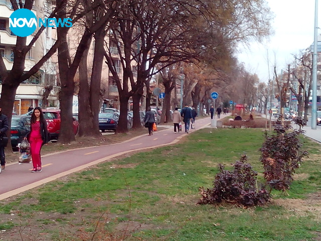 Използване на велоалеите в Пловдив