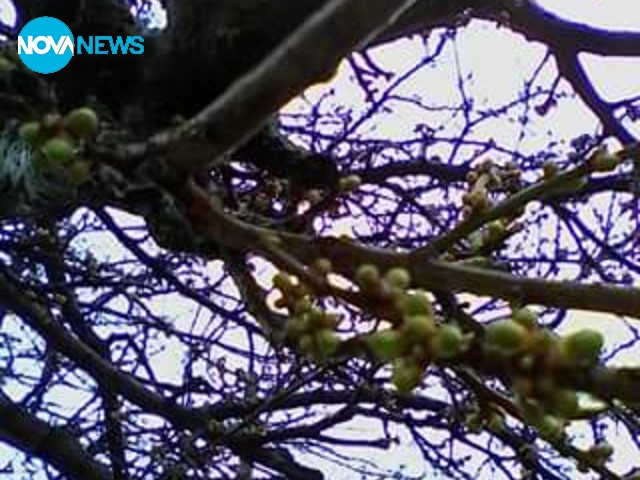 Дъждовен петък