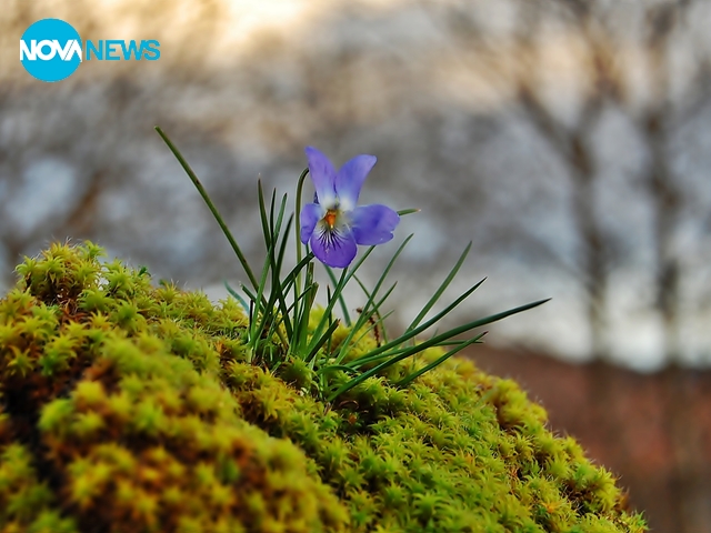 За прогнозата на времето