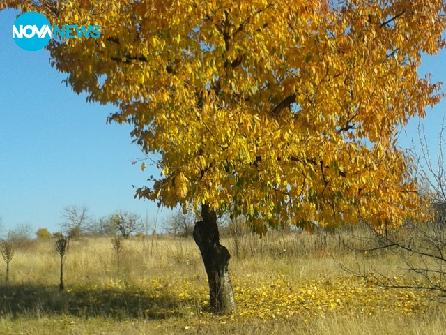 Есен в Разград