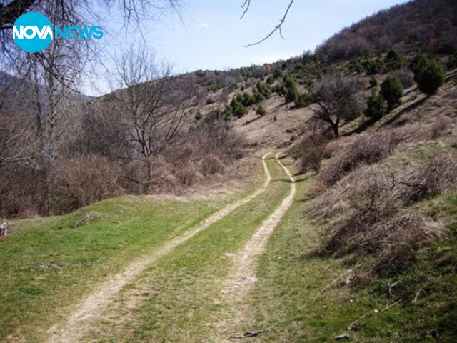 Изглед от село Полска Скакавица
