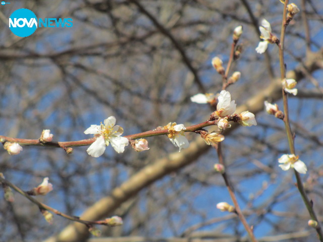 Усещане за пролет